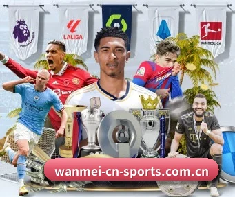 完美体育网页版 APP（WMSPORTS）